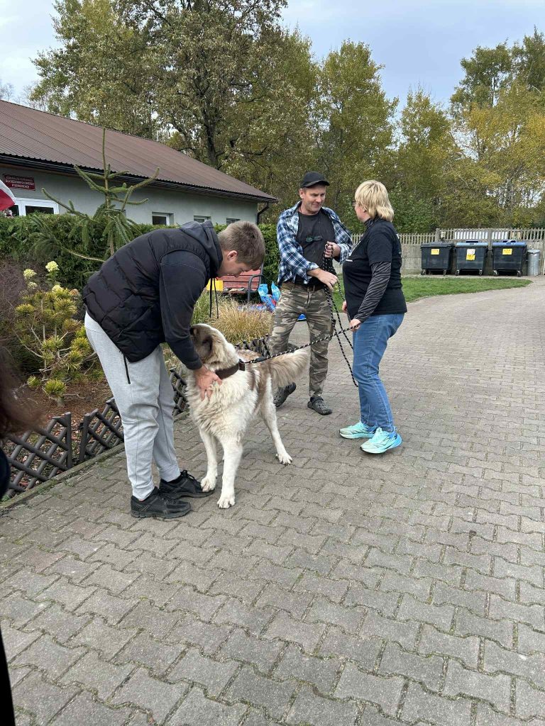 region ruszył z pomocą dla schroniska w sosnowicach