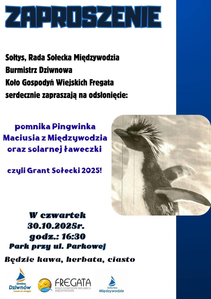 pingwin maciuś międzywodzie