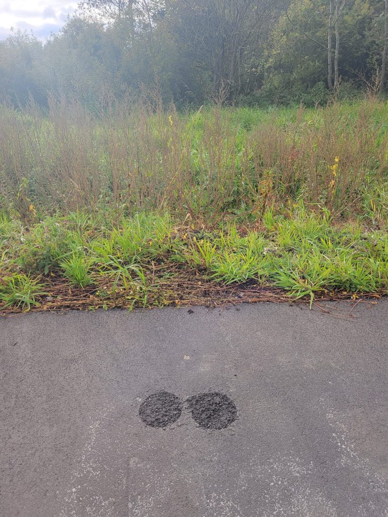 droga gostyń pobierowo