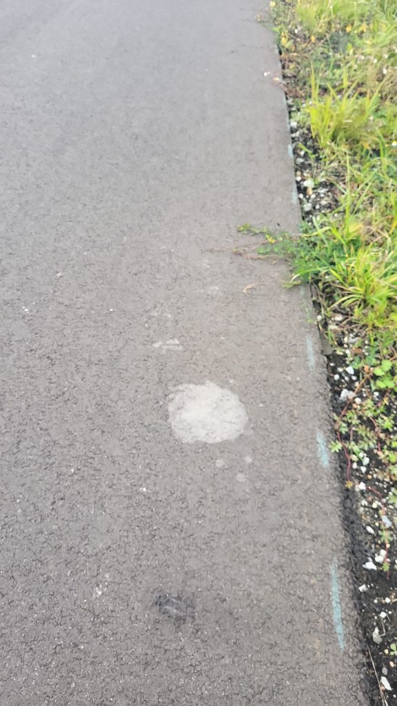 droga gostyń pobierowo