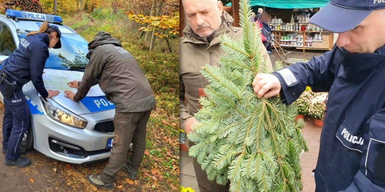 Ruszyła akcja „Stroisz 2025” - wspólne działania Policji i Straży Leśnej w powiecie kamieńskim