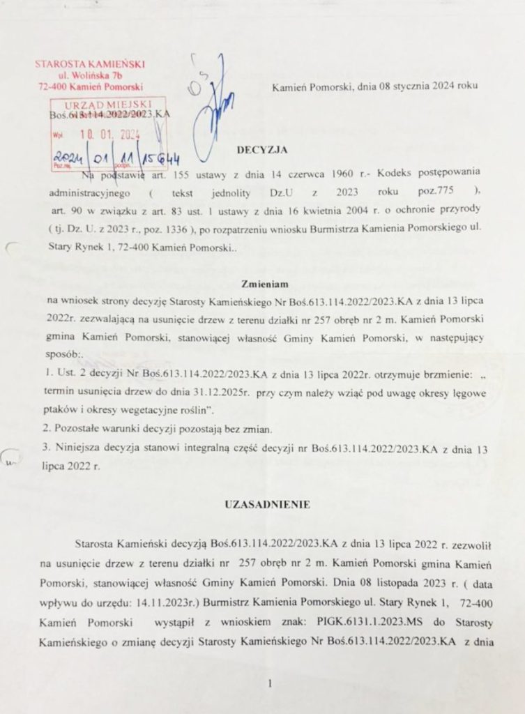 plac 5 marca drzewa zostają decyzje do kosza