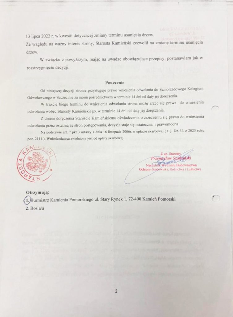 plac 5 marca drzewa zostają decyzje do kosza