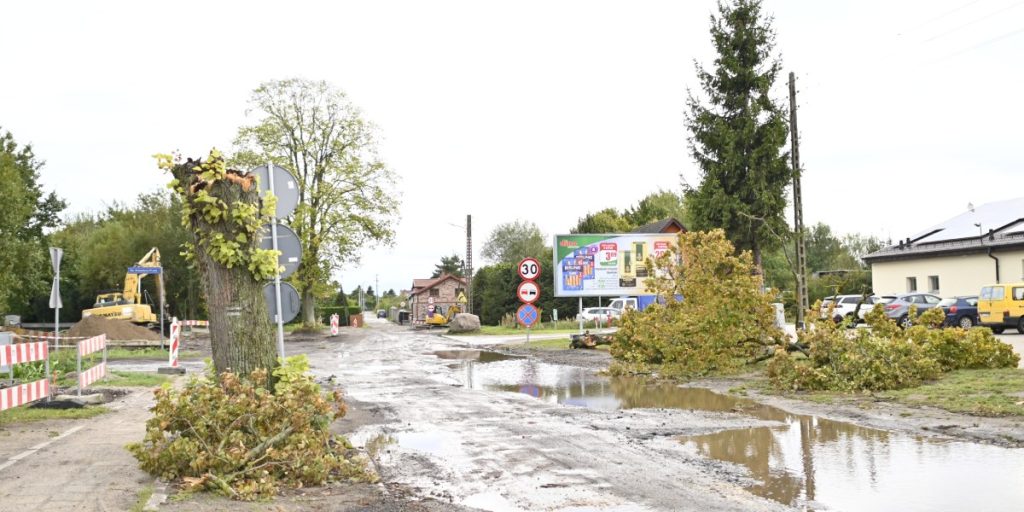 powalone drzewo ul. orzeszkowej