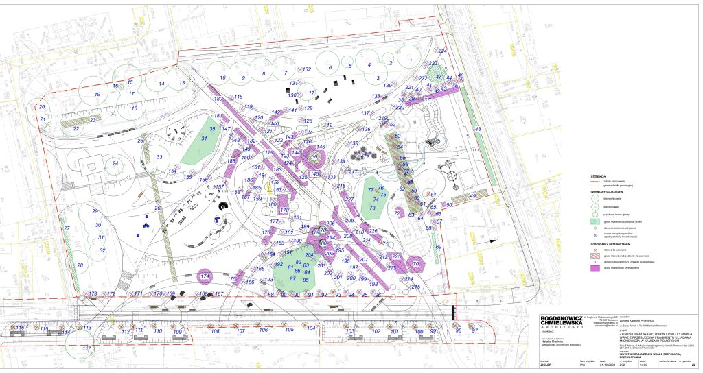 Drzewa i krzewy z placu 5 marca do usunięcia i przesadzenia