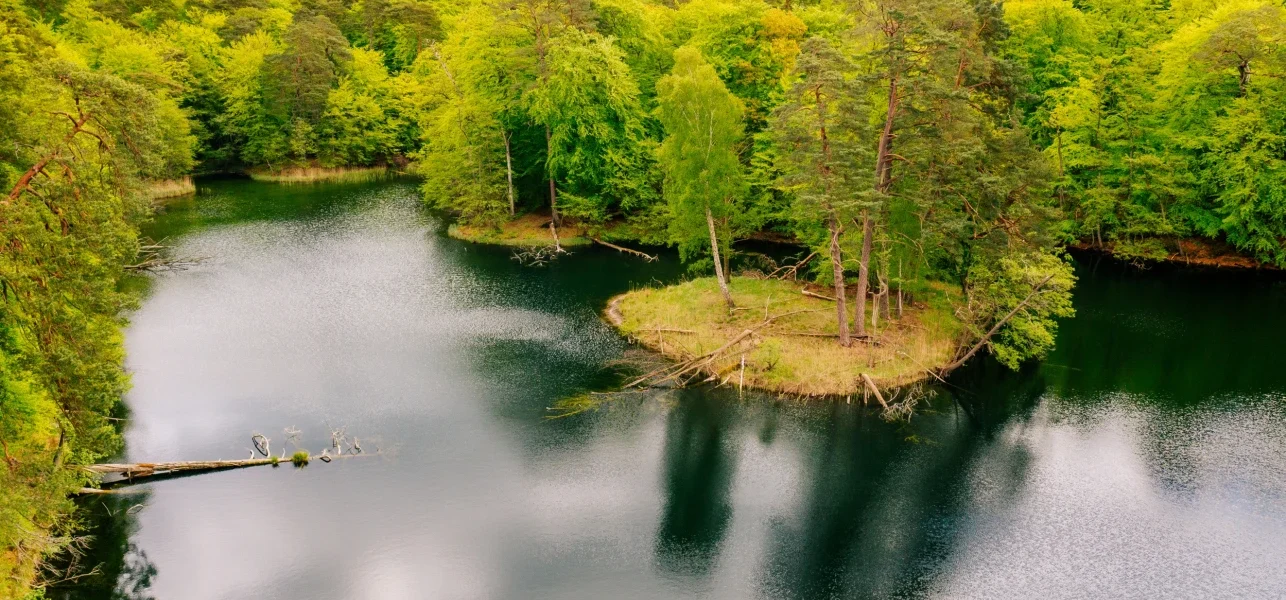 Geologiczny spacer z ekspertem w Wolińskim Parku Narodowym