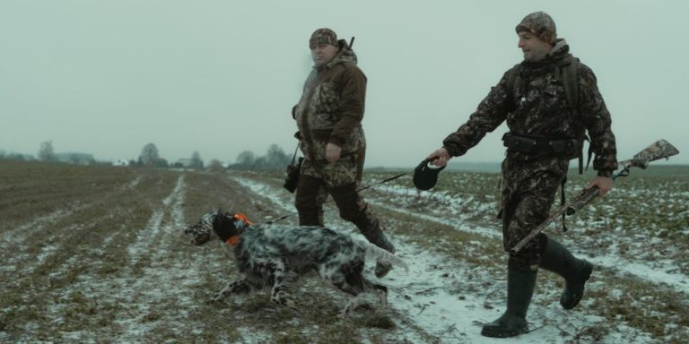 ASF: Kilkaset dzik&oacute;w do odstrzału na terenie powiatu kamieńskiego