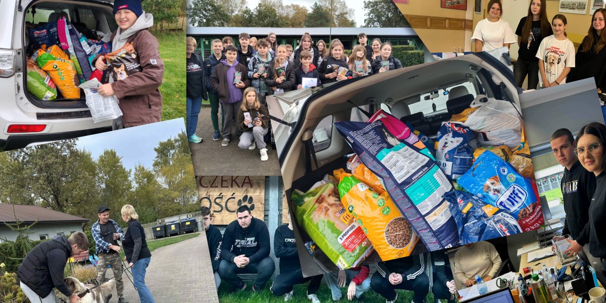 region ruszył z pomocą dla schroniska w sosnowicach