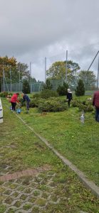 wielkie sprzątanie i nasadzanie