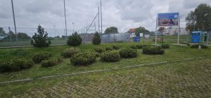 wielkie sprzątanie i nasadzanie