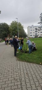 wielkie sprzątanie i nasadzanie