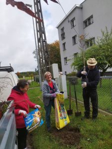 wielkie sprzątanie i nasadzanie