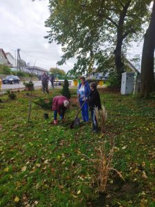 wielkie sprzątanie i nasadzanie