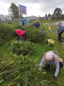 wielkie sprzątanie i nasadzanie