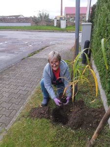 wielkie sprzątanie i nasadzanie
