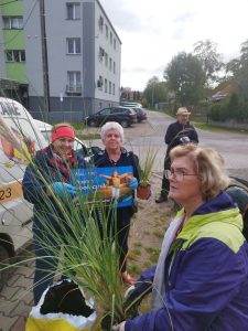 wielkie sprzątanie i nasadzanie