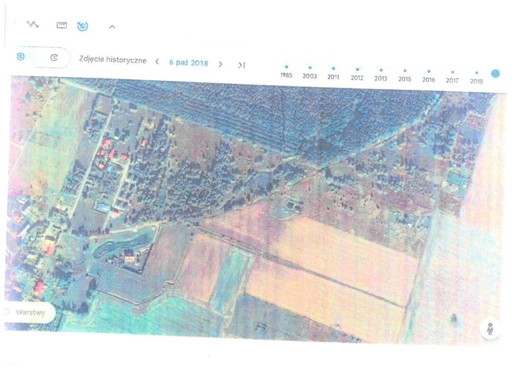 im dalej w las tym mniej drzew leśniak