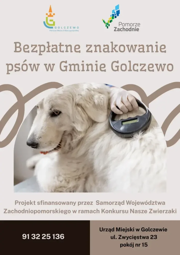 bezpłatne czipowanie psów golczewo