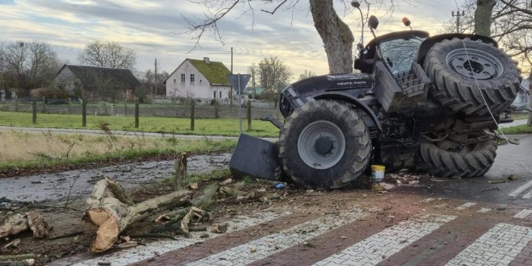 Ciągnikiem w drzewo. Wypadek na przejściu dla pieszych w Darzowicach