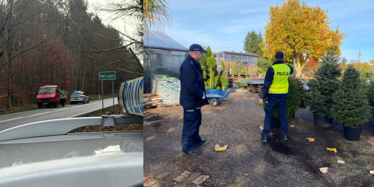 "A te choinki to legalne?" - Policja i Straż Leśna kontroluje lasy i sprzedawców choinek przed świętami. Trwa „Akcja Stroisz 2025”