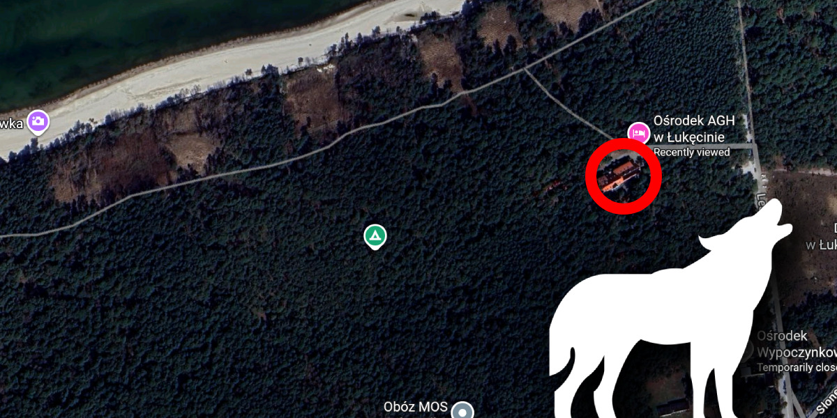 Wilki pod ośrodkiem w Łukęcinie — sołtys ostrzega