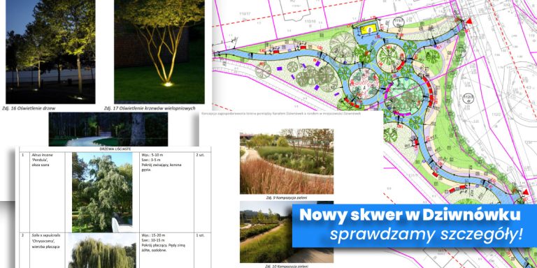 Nowy skwer w Dziwnówku: Jak dokładnie będzie wyglądał? Co z roślinnością? Sprawdzamy szczegóły!
